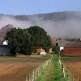 0309F 25 Nebelaufloesung